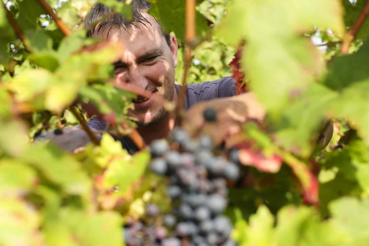 luxury-loire-valley-chateaux-cycling-deluxe